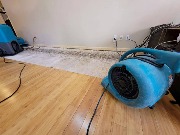 Professional Water Damage Repair technician working in Ronkonkoma, NY